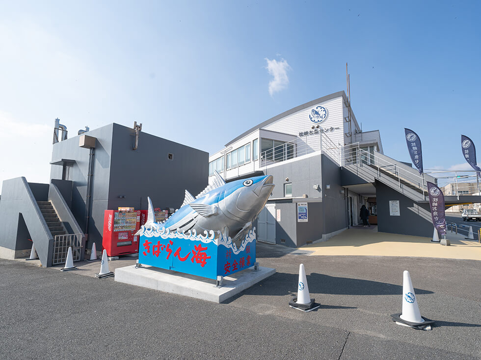 お魚センター