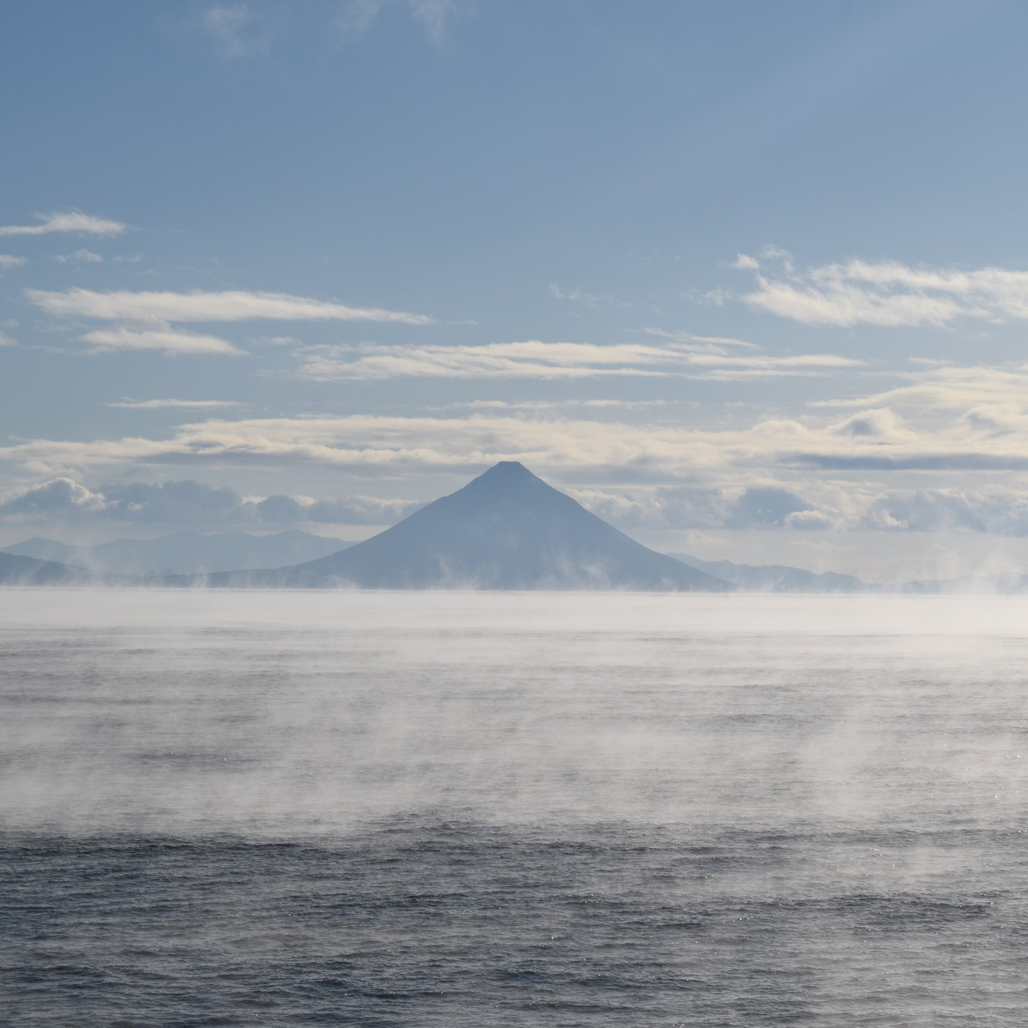 2026年始のイベントについてのご案内