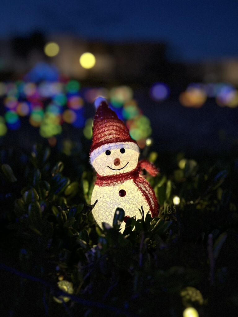 ガンバリ号 イルミネーション